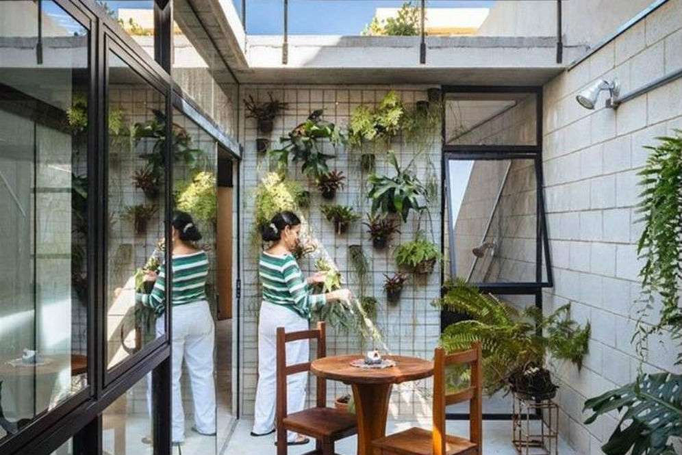 Taman di samping rumah
