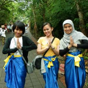 Aliya Muafa - WordPress.com