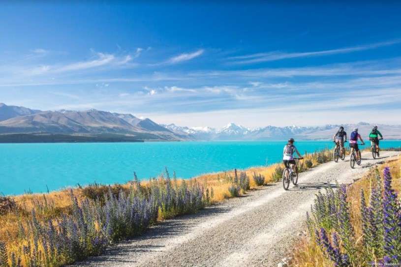 NZ