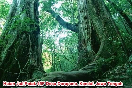 wisata pembantaian