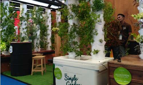 Your Simple Garden