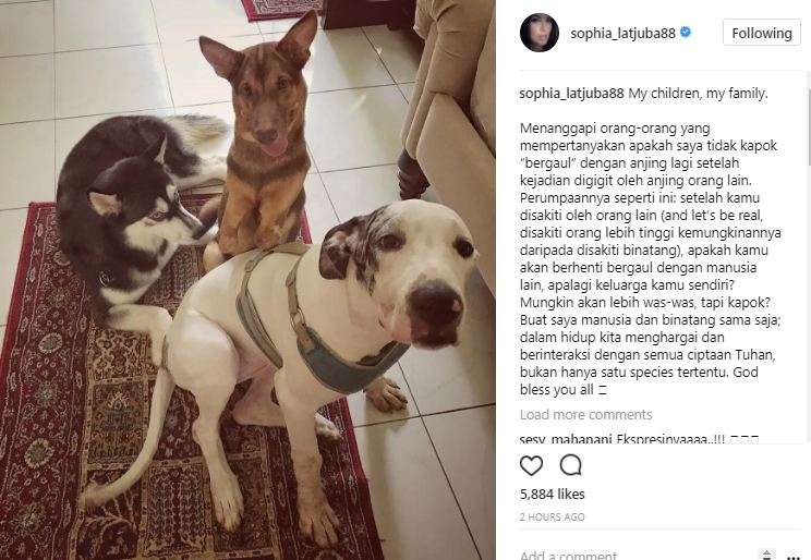 Anjing sophia latjuba