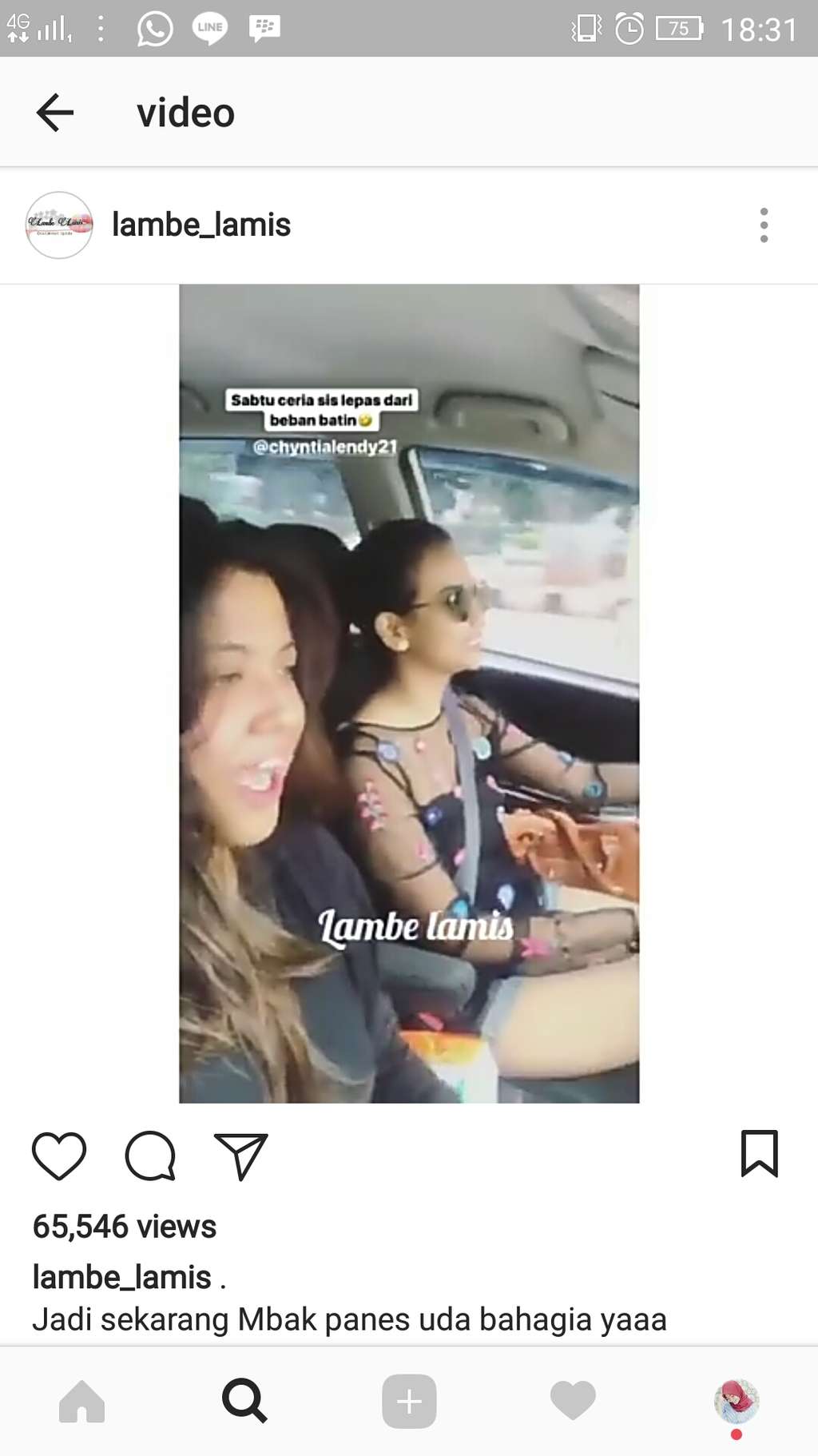 lambe lamis