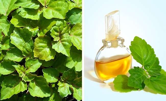 Cairan Termahal di Dunia Cairan Termahal di Dunia