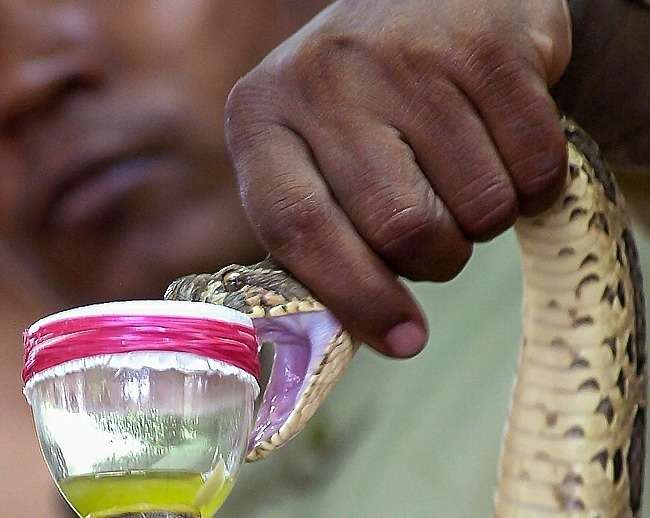 Cairan Termahal di Dunia Cairan Termahal di Dunia