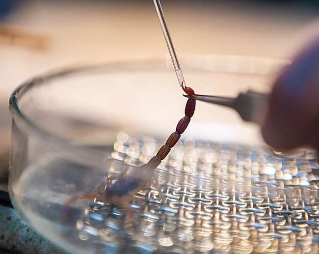 Cairan Termahal di Dunia Cairan Termahal di Dunia