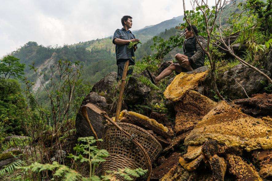 Pemburu Madu Pemburu Madu