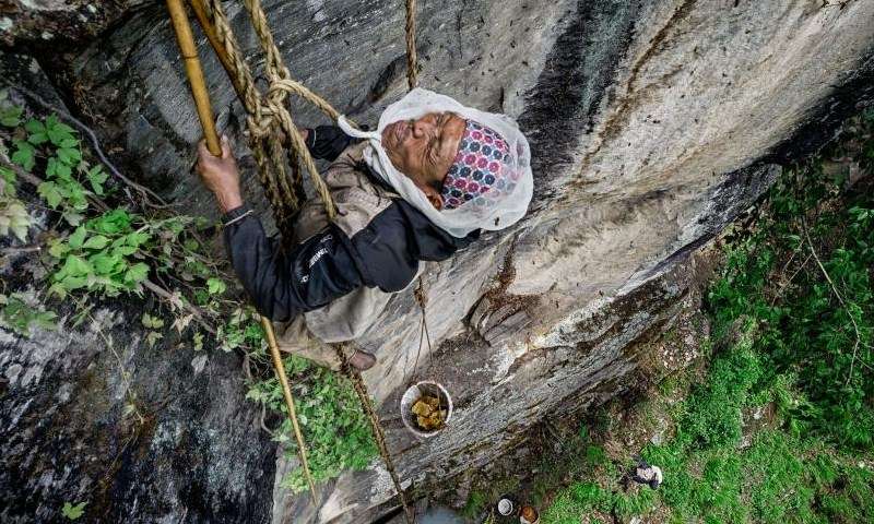 Pemburu Madu Pemburu Madu