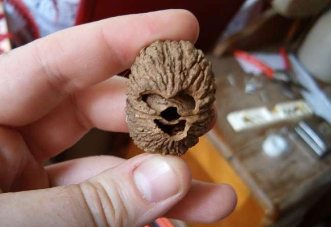 pareidolia