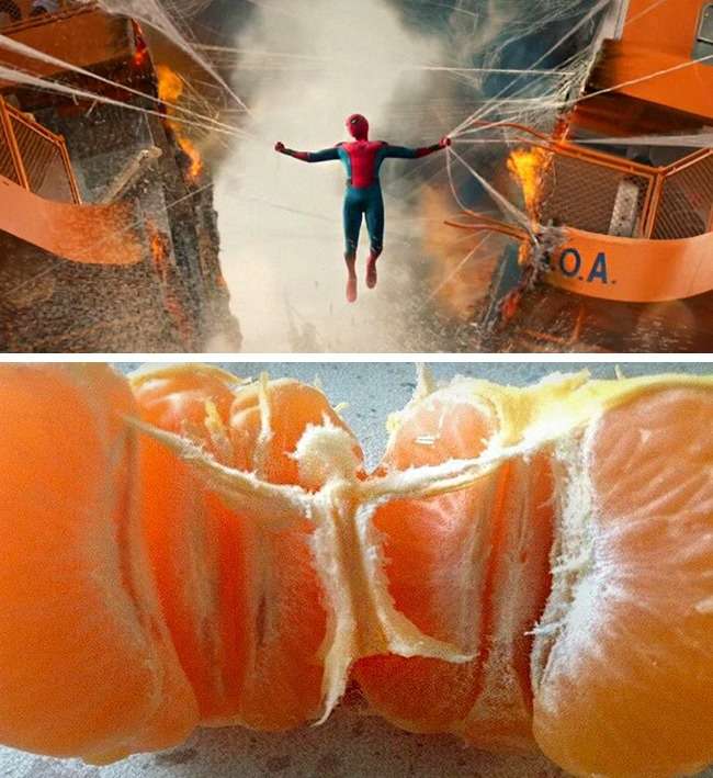 Pareidolia