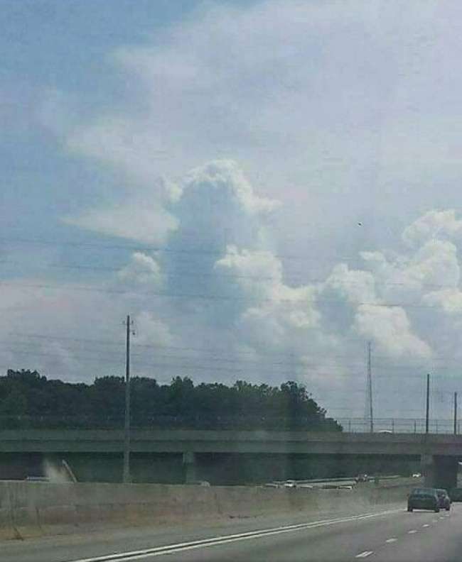 Pareidolia