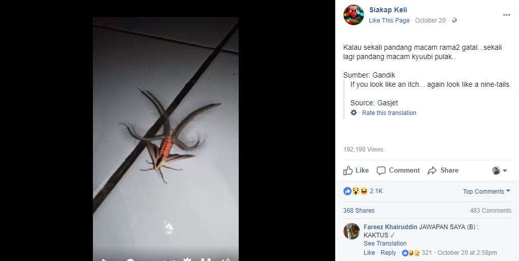 Kupu-kupu Mutan Diunggah Netizen Malaysia Kupu-kupu Mutan Diunggah Netizen Malaysia