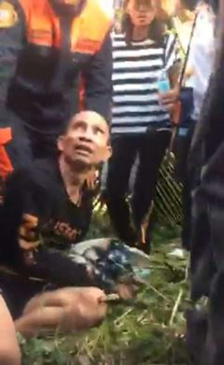 Tinggal di Pohon Tinggal di Pohon