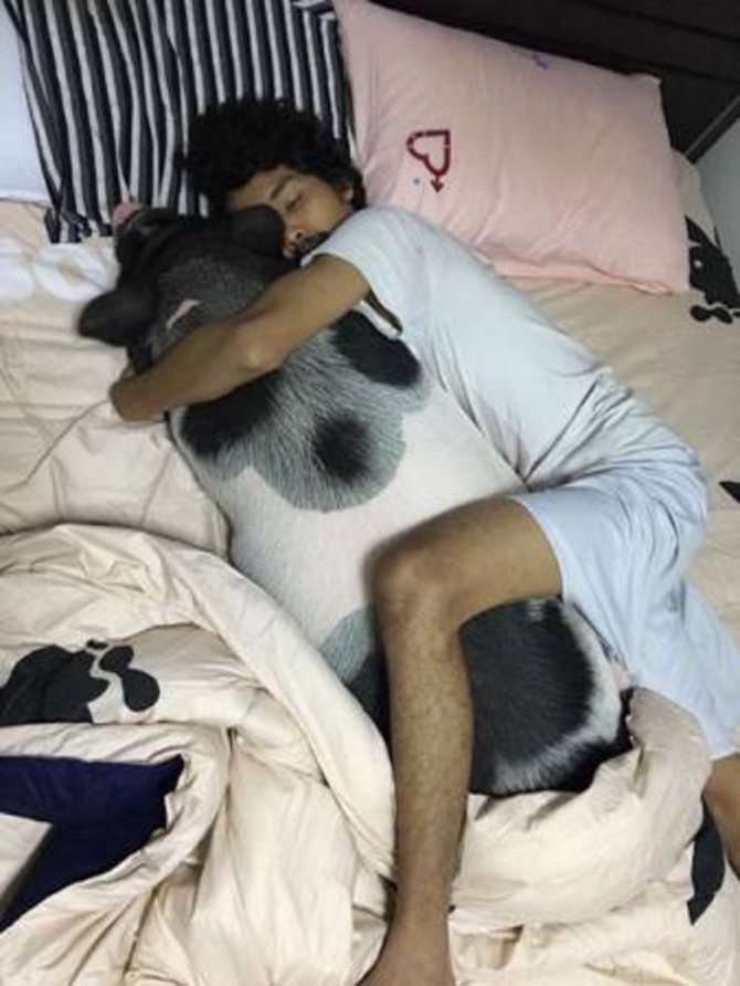 tidur dengan babi