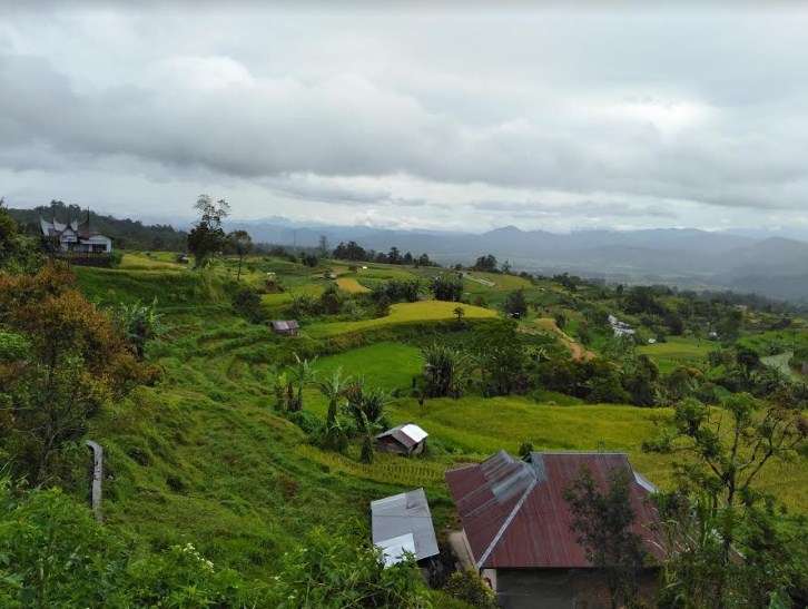 desa