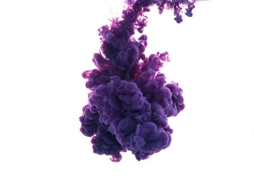 Shutterstock