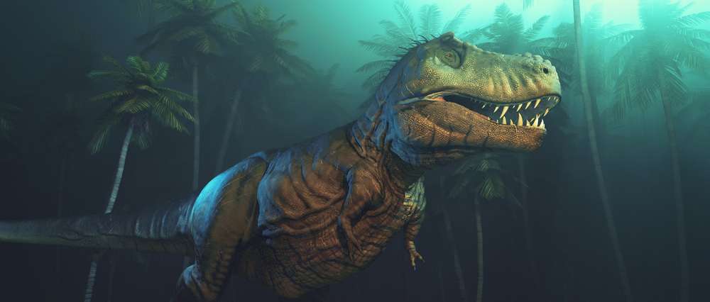 T Rex