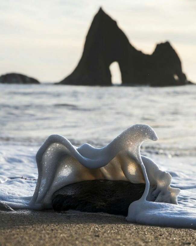 Timing Foto Pas Timing Foto Pas