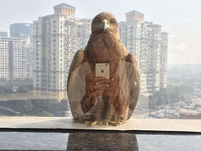 Timing Foto Pas Timing Foto Pas