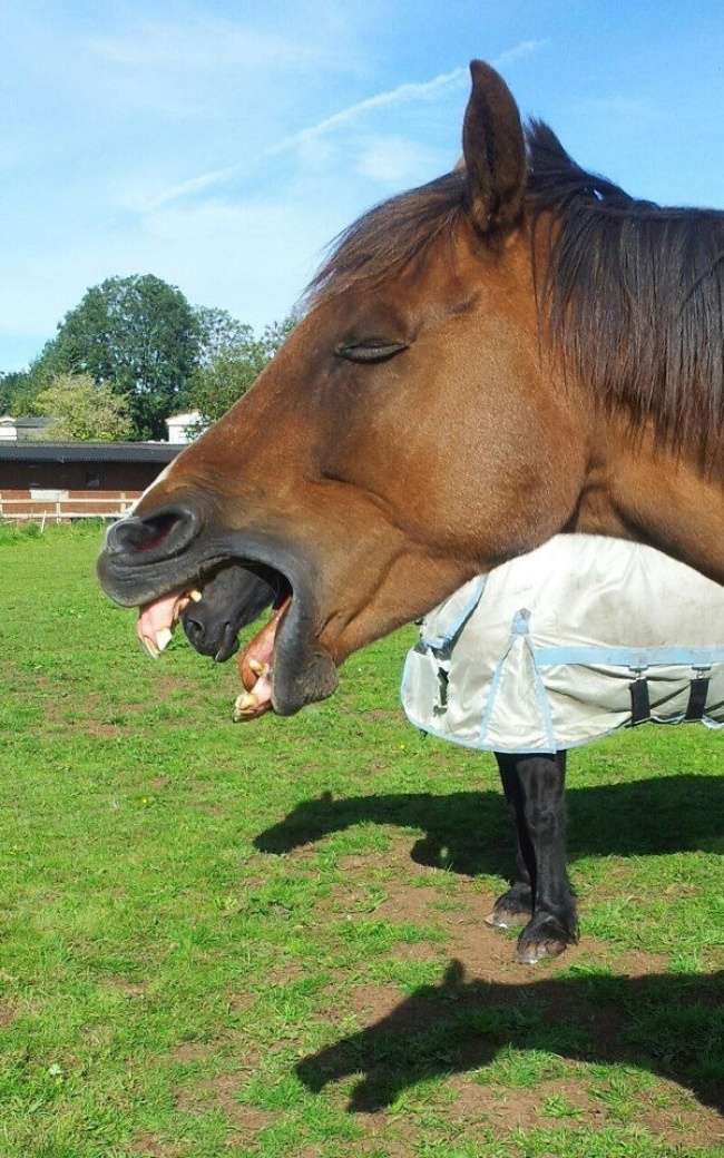 Timing Foto Pas Timing Foto Pas