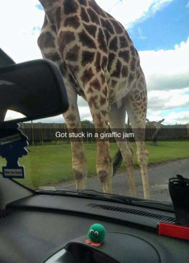 Snapchat Fails Snapchat Fails