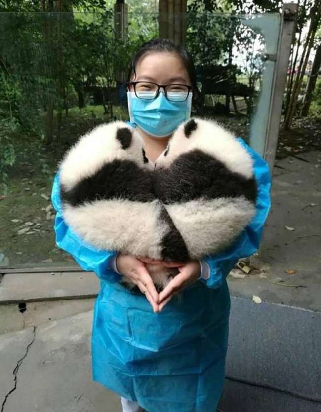 Kejaiban Dunia Kejaiban Dunia