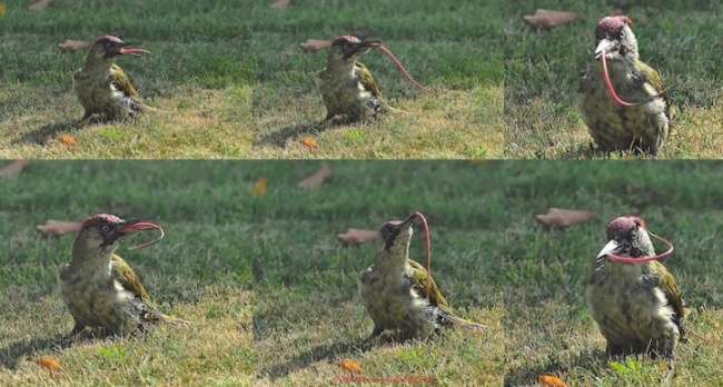 Kejaiban Dunia Kejaiban Dunia