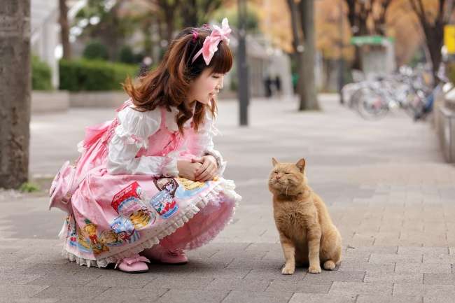 Jepang Jepang
