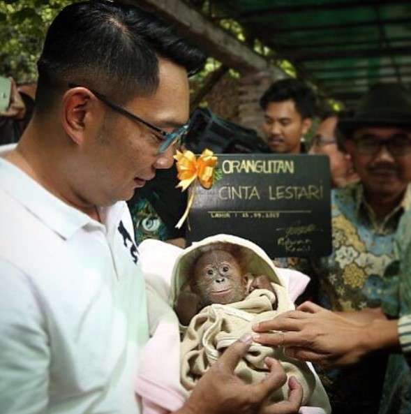 kang emil