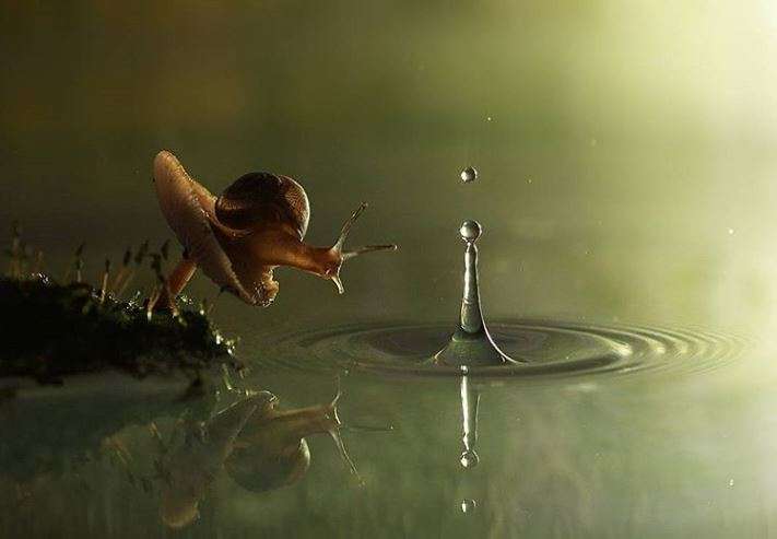 Timing