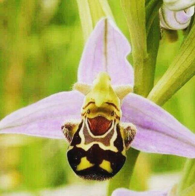 Timing