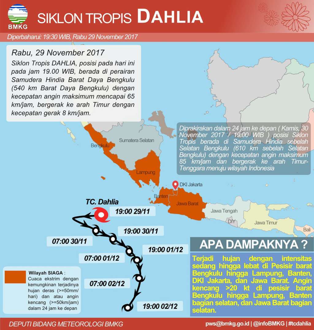 Benih siklon Dahlia