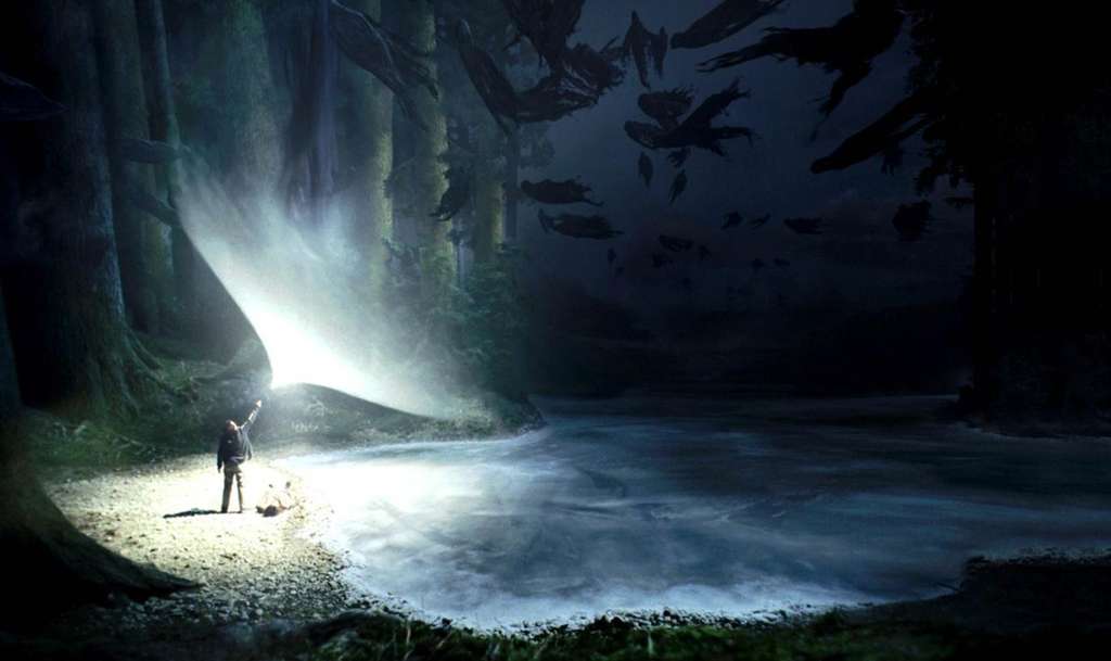 Harry Potter