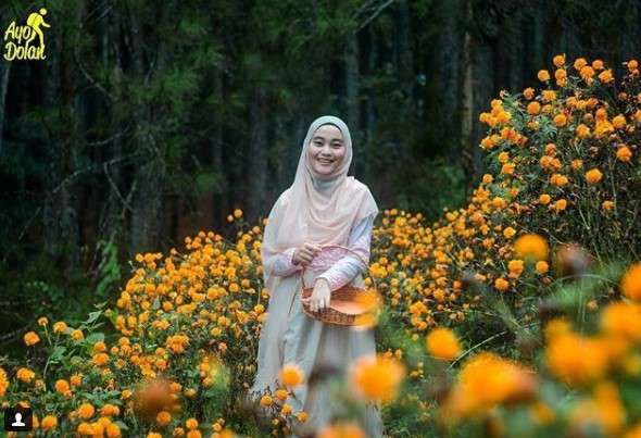 wisata