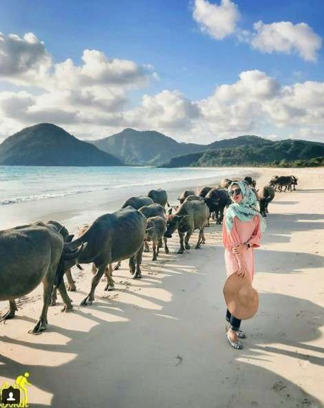 wisata