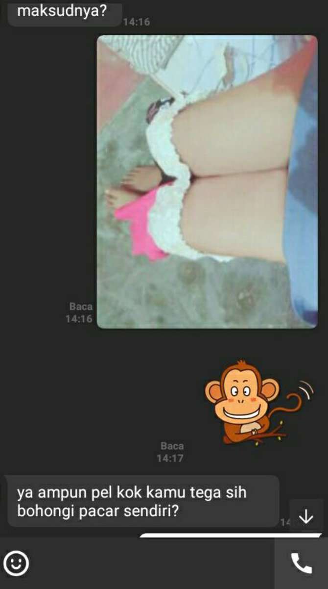 Chat Panas