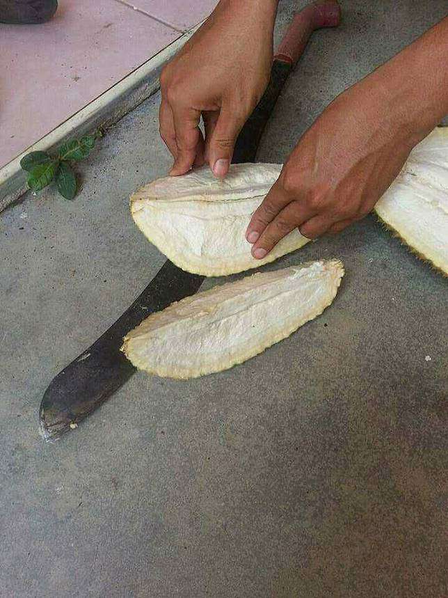 durian