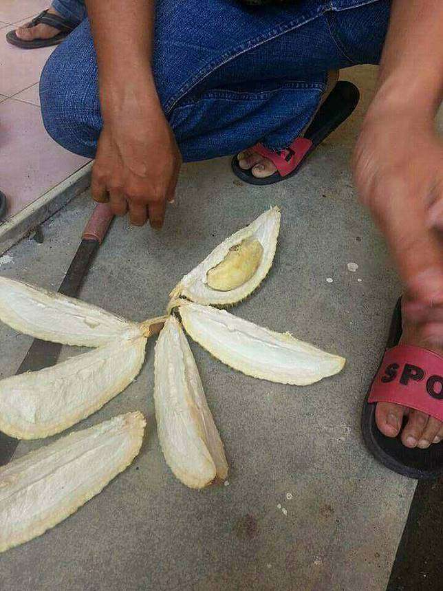 durian