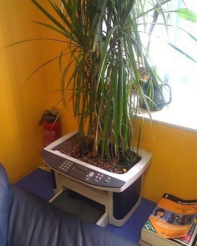 Kantor Lucu