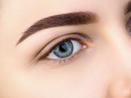 shutterstock
