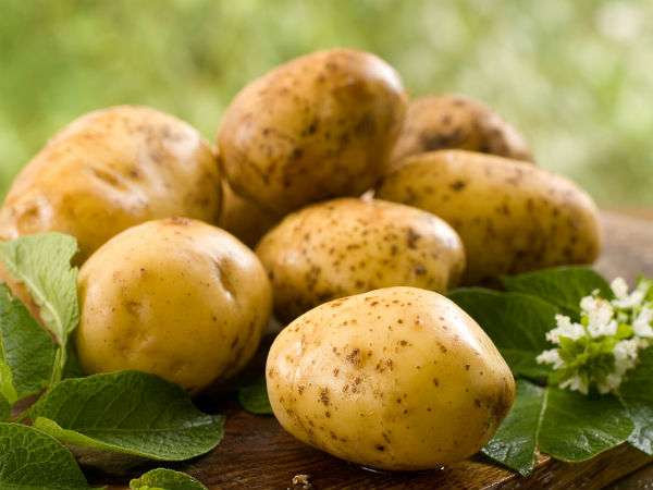 Boldsky