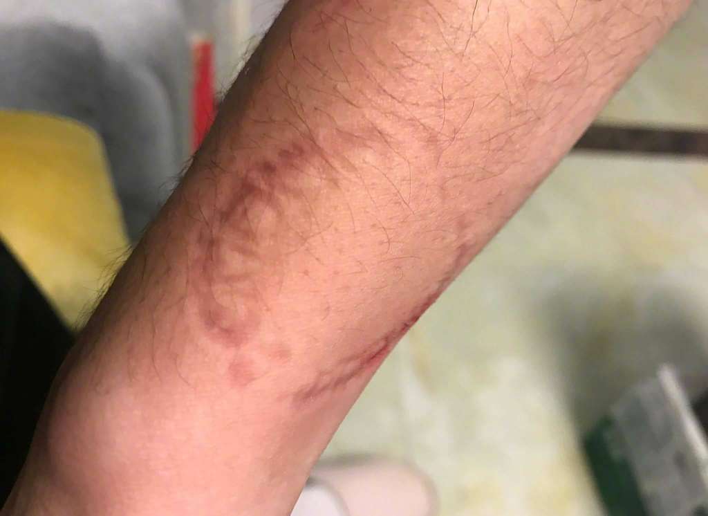 Cewek Gamer Cewek Gamer