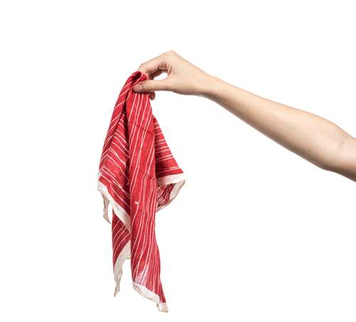 shutterstock shutterstock
