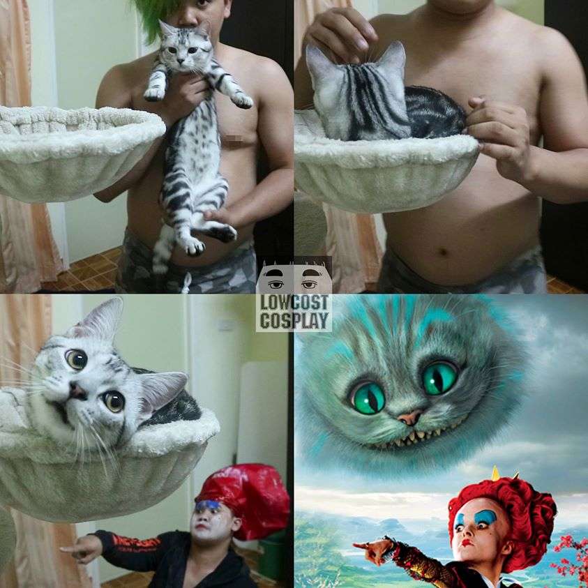 Cosplay