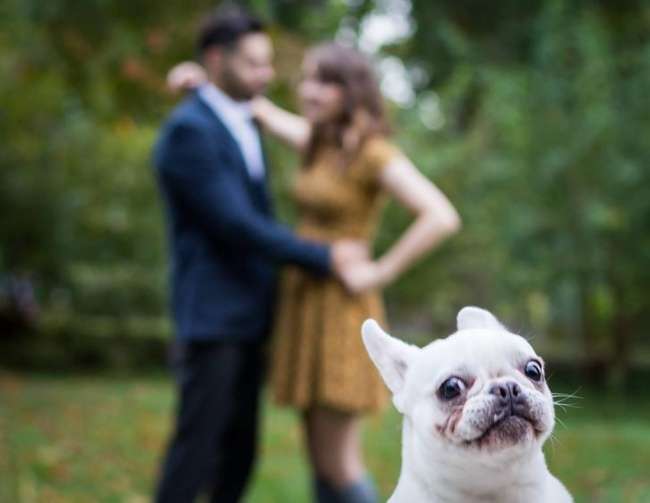 Photobomb