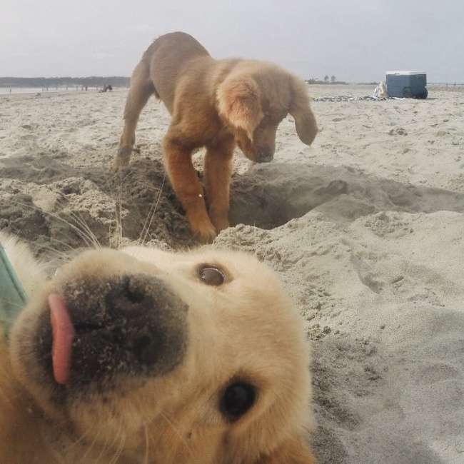 Photobomb