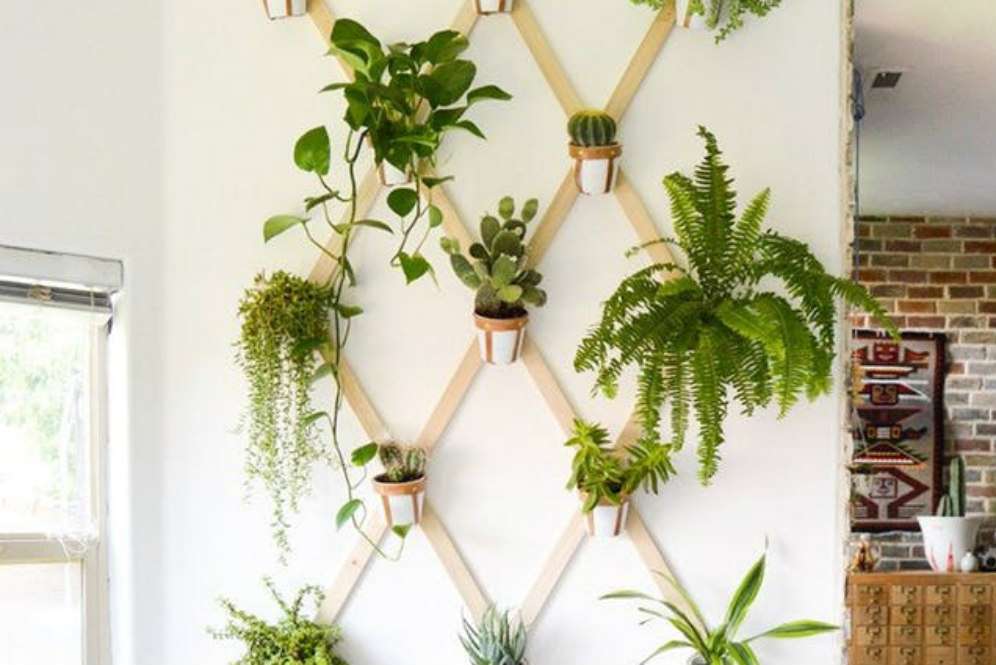 Pot gantung