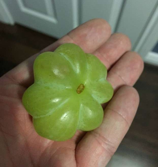 Kreatif Tapi Aneh 14