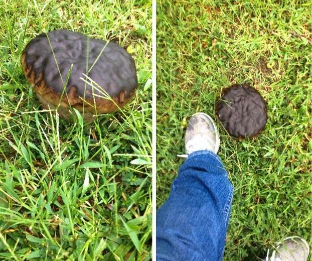 Kreatif Tapi Aneh 15