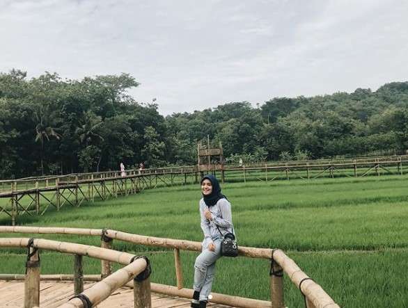 Vebby Palwinta